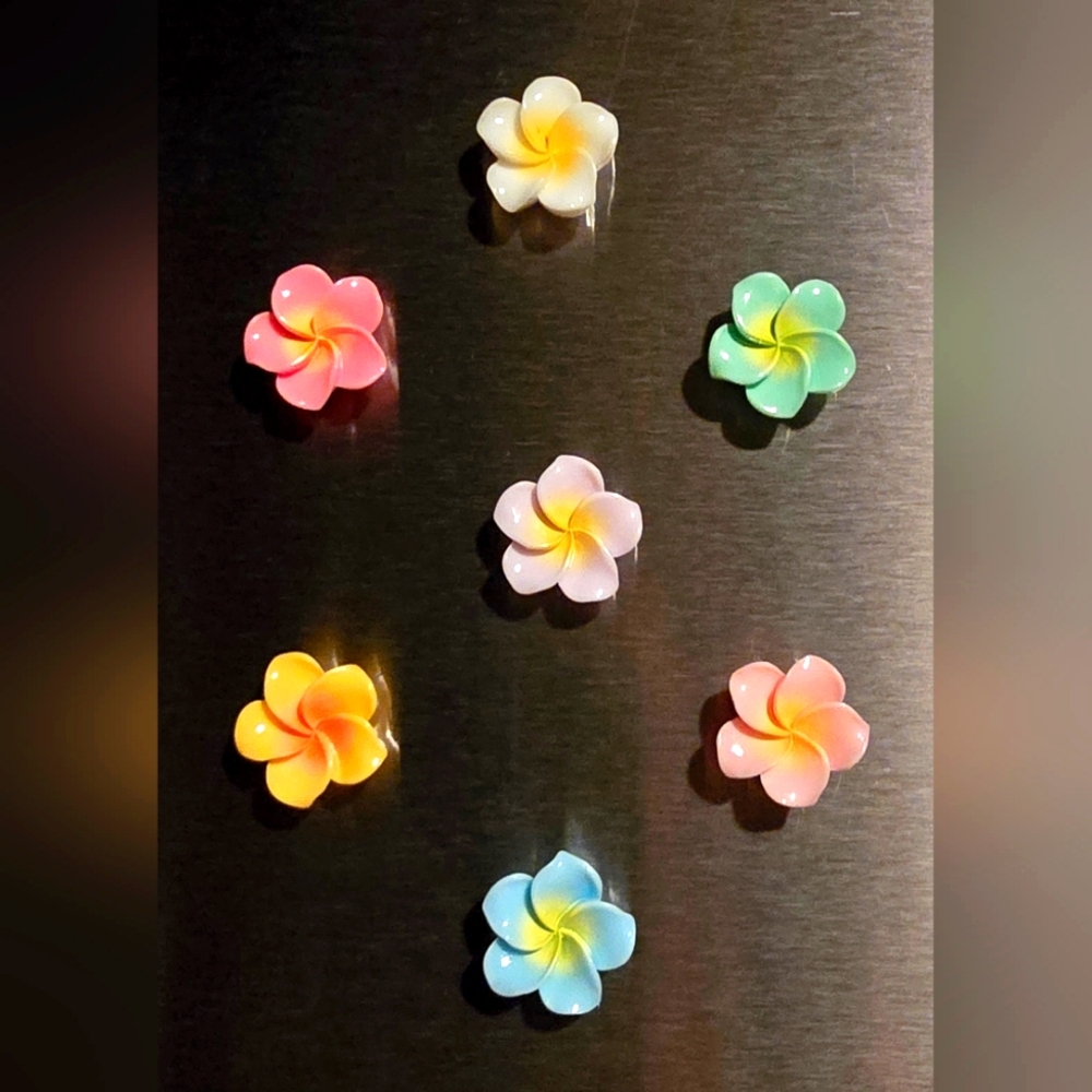 Colorful Hawaiian Plumeria Flower Magnet Set